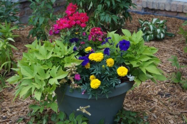 How a Fence Saved My Marriage and Family | Twin Cities Familys Blog