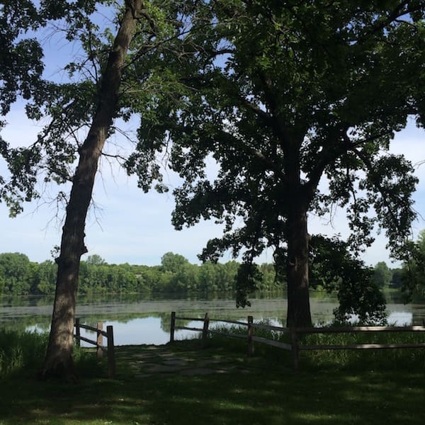 Woodbury Top Picks: Summer Edition | Twin Cities Familys Blog