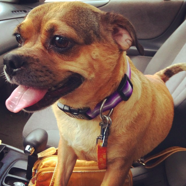 The Empty Room: A Man's Journey to IVF | Twin Cities Familys Blog