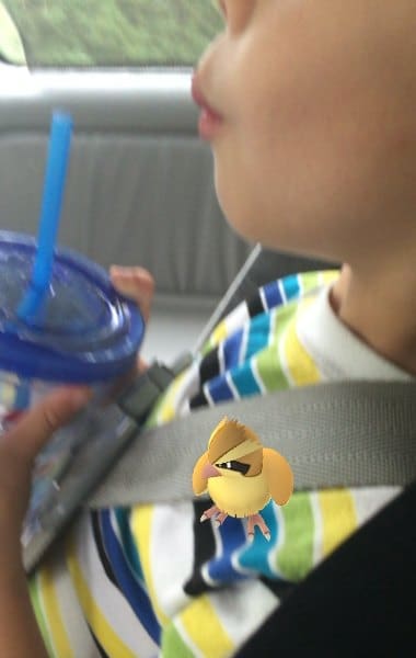 Pokémon Go for PokéMoms | Twin Cities Familys Blog