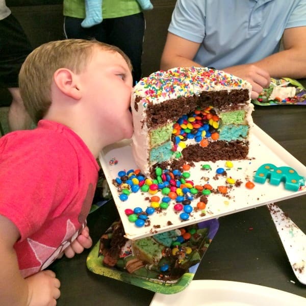 Birthday Layer Cake with Surprise M&MS Filling | Twin Cities Familys Blog