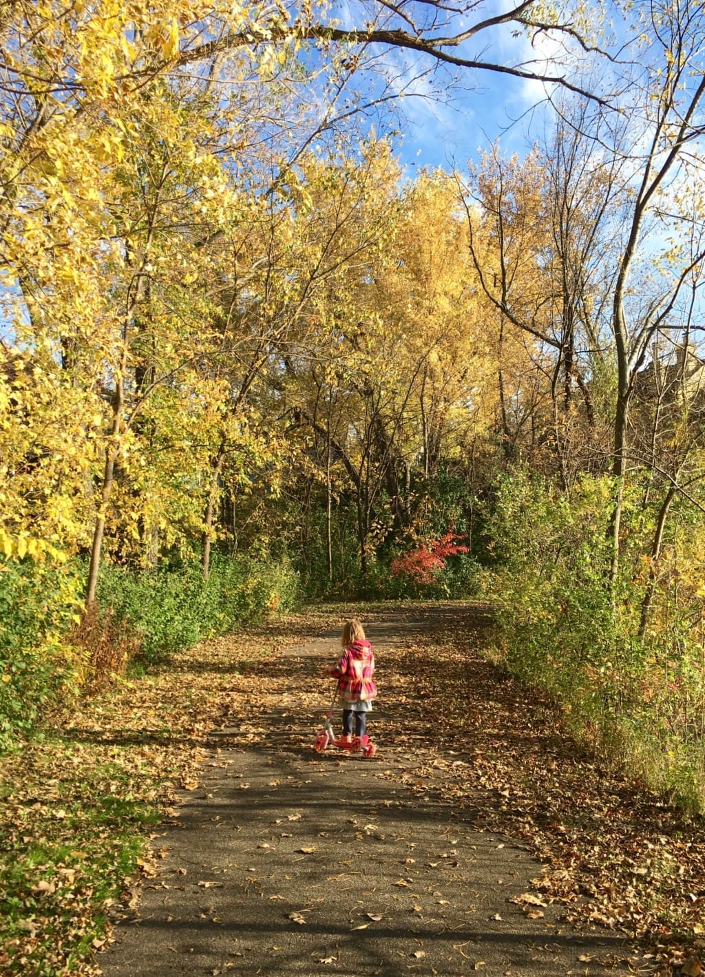 I Might Be a Mean Mom... | Twin Cities Familys Blog