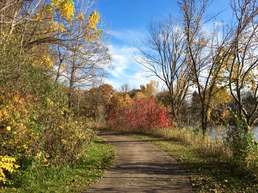 I Might Be a Mean Mom... | Twin Cities Familys Blog