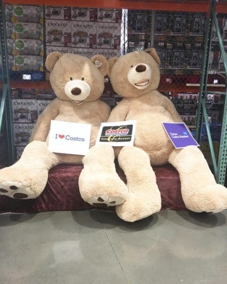 2016 Costco Mom Hour Recap | Twin Cities Familys Blog