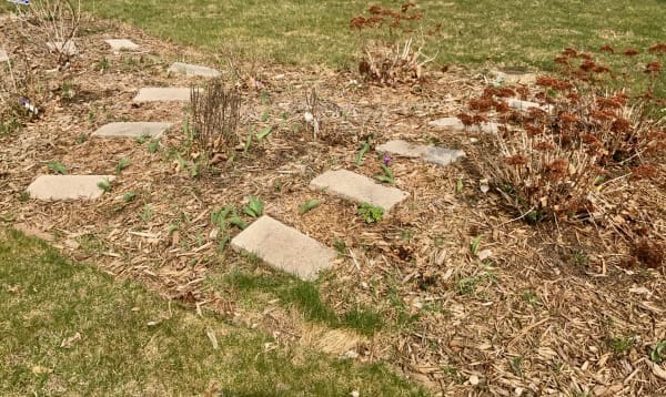 How To Fail At Gardening (An Annual Guide) | Twin Cities Familys Blog