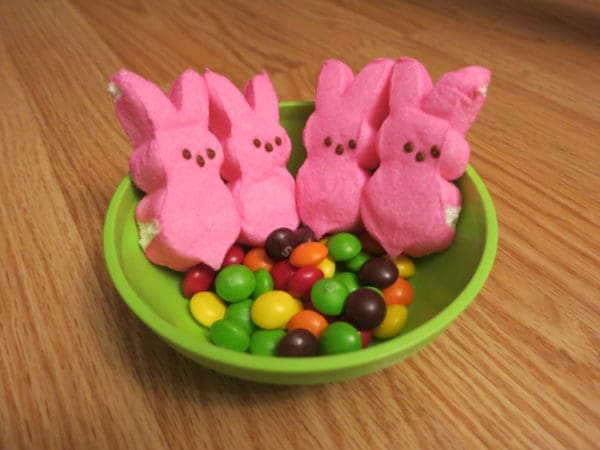 After Dinner Science | Twin Cities Familys Blog