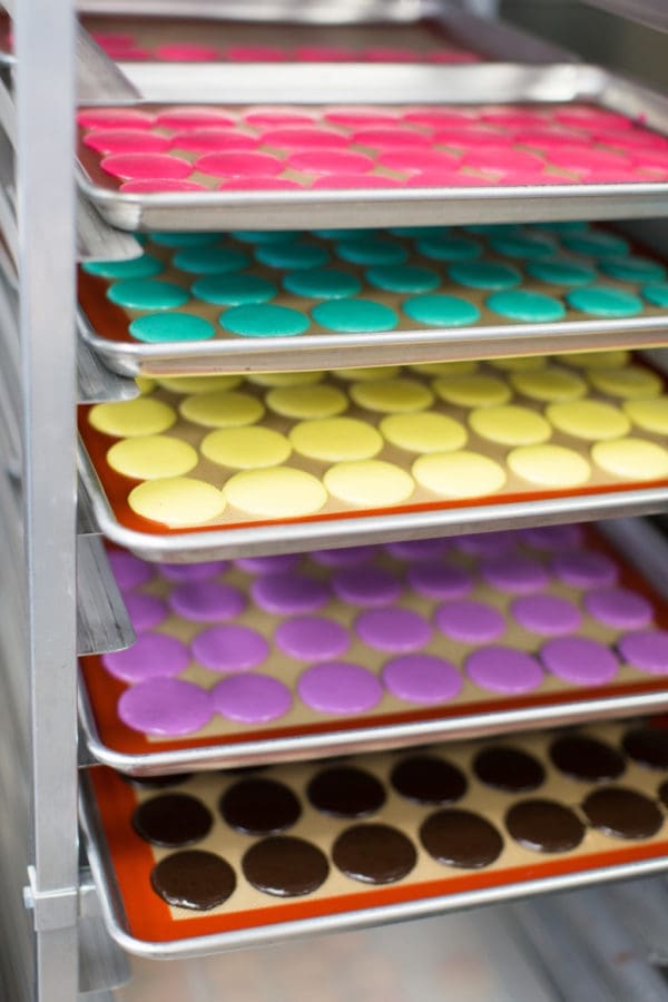 Amy's Cupcake Shoppe Macaron Class Review | Twin Cities Familys Blog