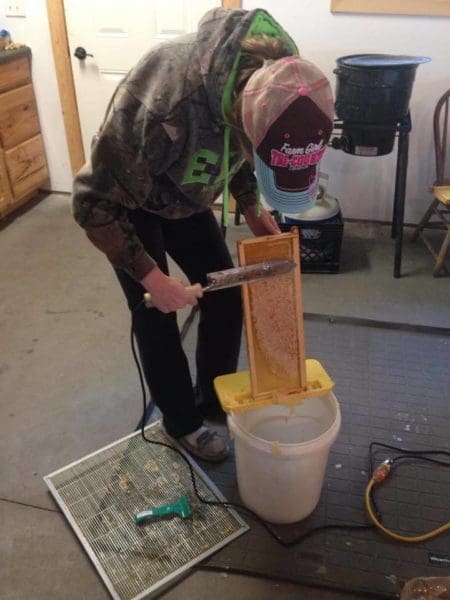 Buzzin' about Bees | Twin Cities Familys Blog