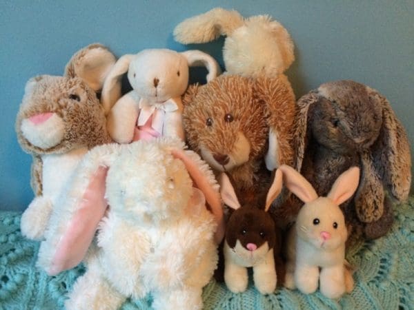 On Bunnies and Talking About Death | Twin Cities Familys Blog
