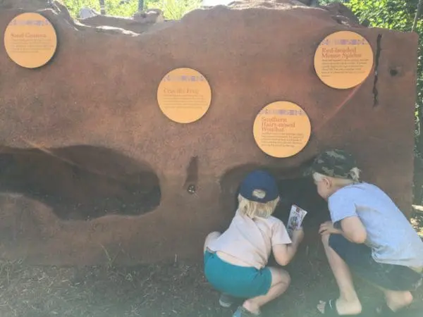 Kangaroo Crossing at MN Zoo | Twin Cities Familys Blog