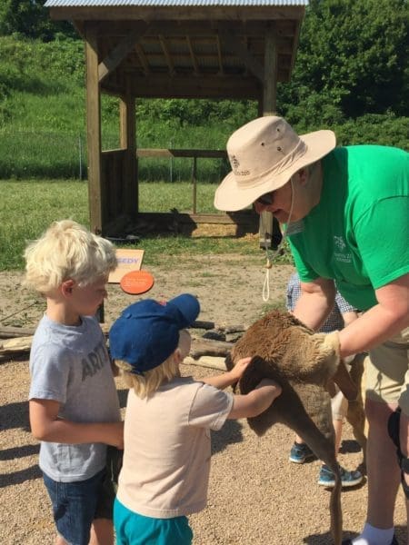 Kangaroo Crossing at MN Zoo | Twin Cities Familys Blog