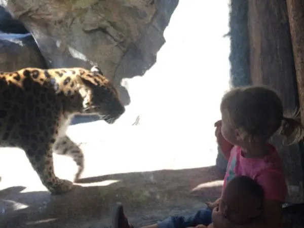 It's Your Summer Too | Twin Cities Familys Blog