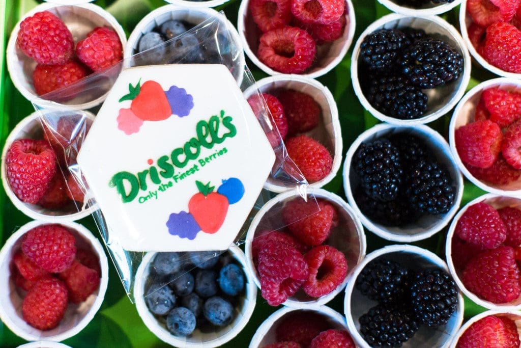 Berry Merry Morning with Driscoll's | Twin Cities Familys Blog