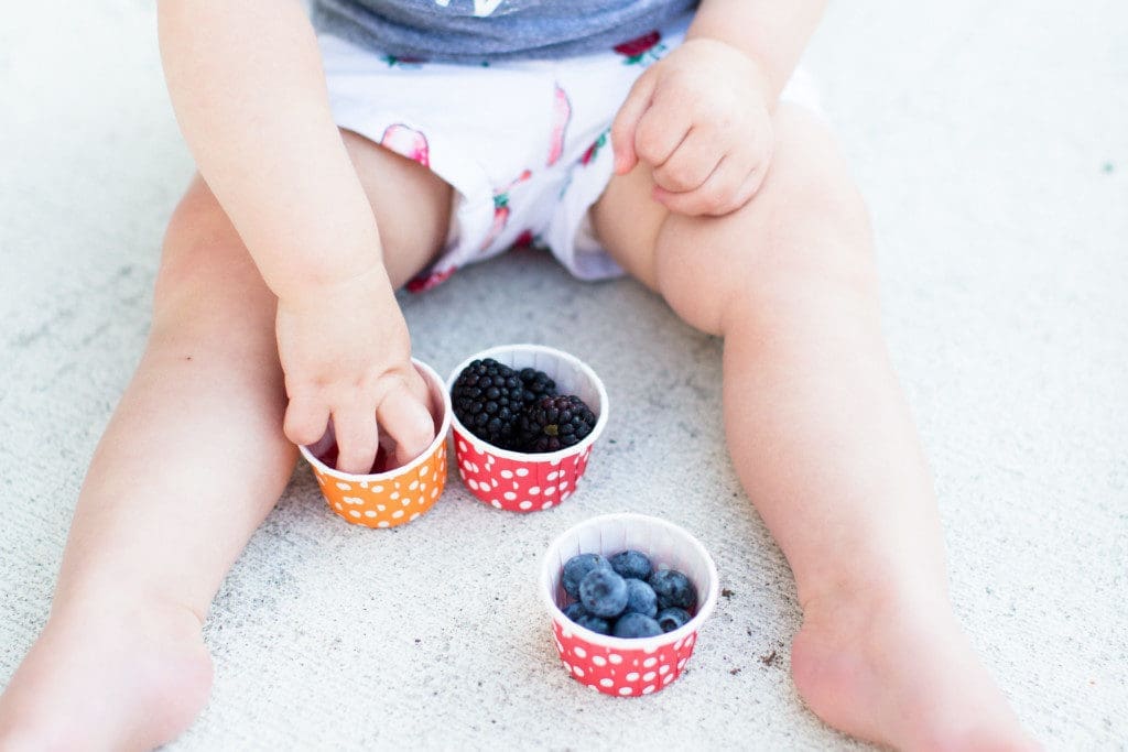 Berry Merry Morning with Driscoll's | Twin Cities Familys Blog