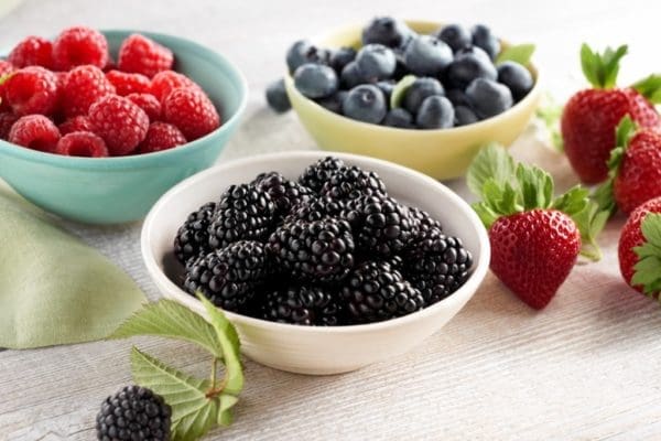 Back To School Meal Prep Tips & Tricks | Twin Cities Familys Blog