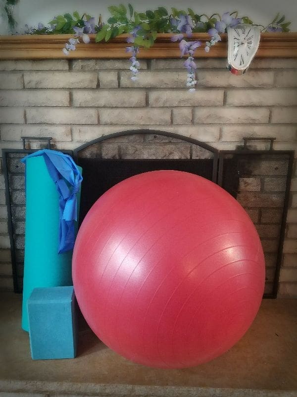 A Tale of Two Pregnancies | Twin Cities Familys Blog