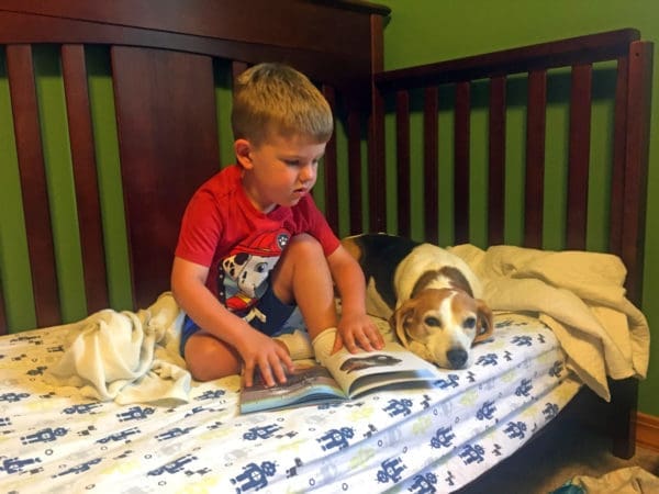 Awkward Family Photos: Loving the Imperfect | Twin Cities Familys Blog