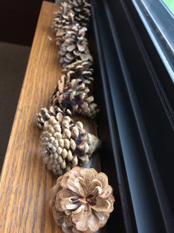 Special Things | Twin Cities Familys Blog