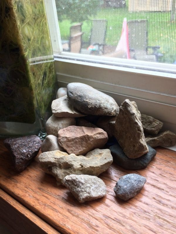 Special Things | Twin Cities Familys Blog