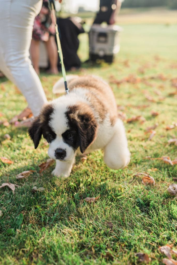 Field to Fork Moms Night Out | Twin Cities Familys Blog