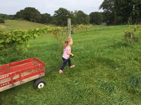 It’s An Ordinary Life | Twin Cities Familys Blog