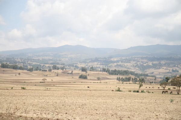 The Day I Called My Daughter's Birth Mother | Twin Cities Familys Blog