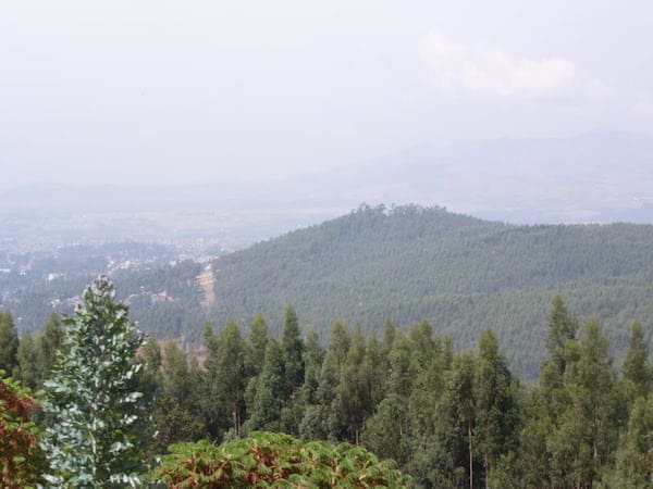 The Day I Called My Daughter's Birth Mother | Twin Cities Familys Blog