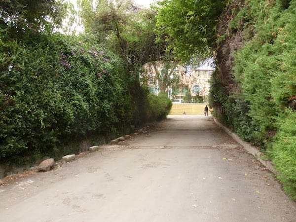 The Day I Called My Daughter's Birth Mother | Twin Cities Familys Blog