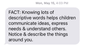 Think Small Texted Tips | Twin Cities Familys Blog