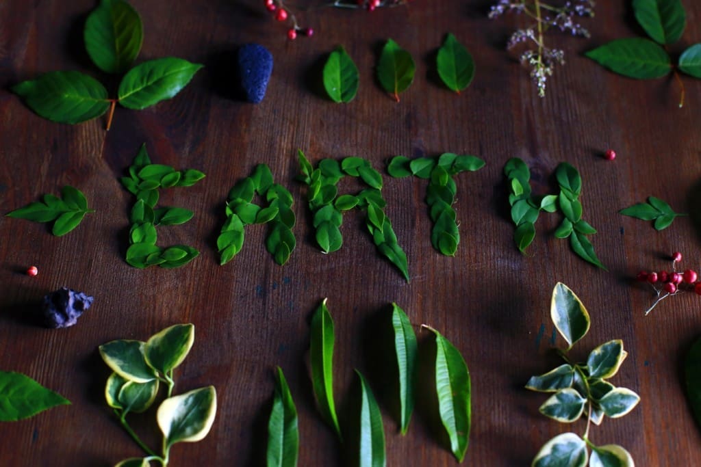 Earth Day Resolutions | Twin Cities Familys Blog