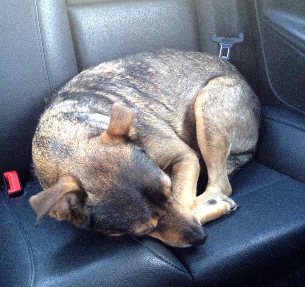 To Sleep, Perchance to Sleep | Twin Cities Familys Blog