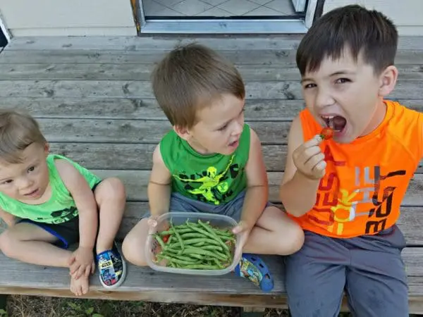 Lessons in Life with Gardening | Twin Cities Familys Blog