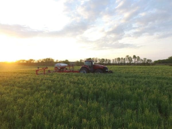 CommonGround | Twin Cities Familys Blog