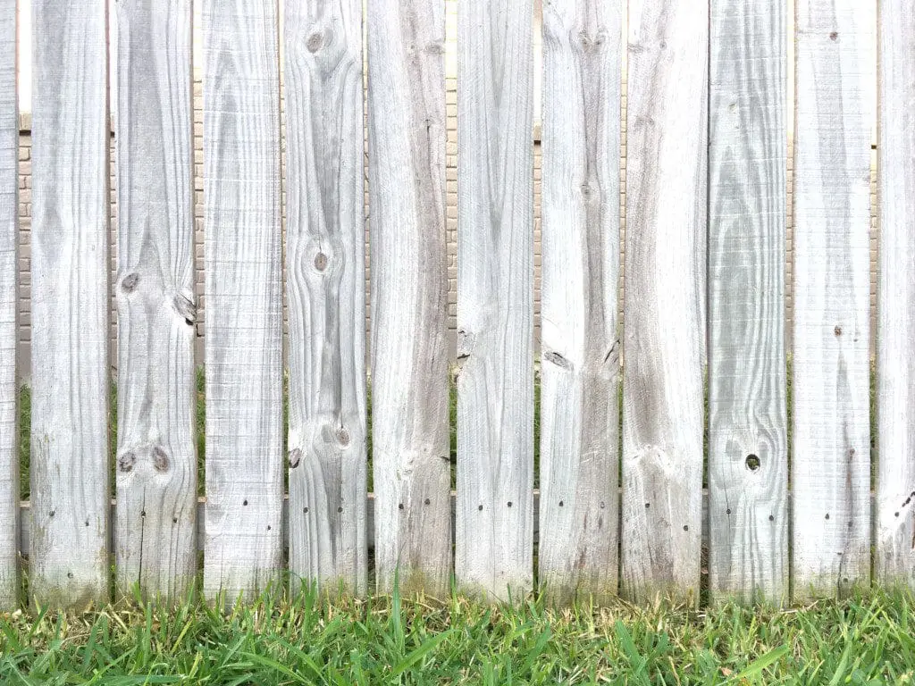 Surprised by Disobedience? | Twin Cities Familys Blog