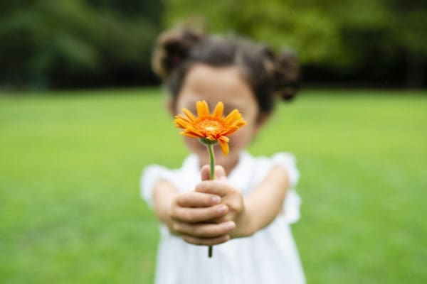 Why Gratitude? Why Now? | Twin Cities Familys Blog