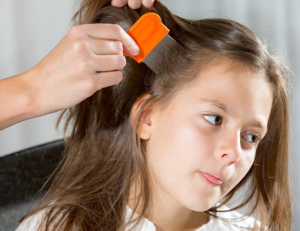The Low-Down on Lice | Twin Cities Familys Blog