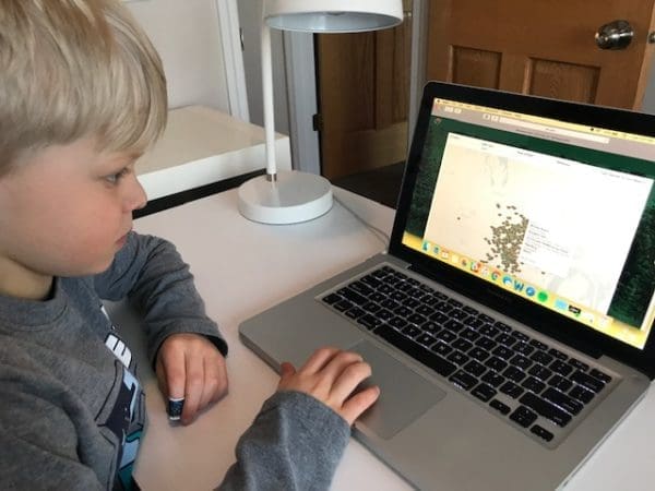 This Is Our Ice | Twin Cities Familys Blog