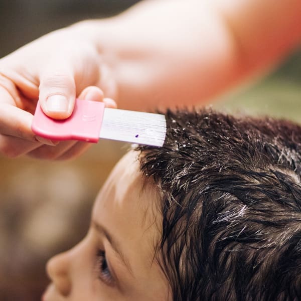 The Low-Down on Lice | Twin Cities Familys Blog