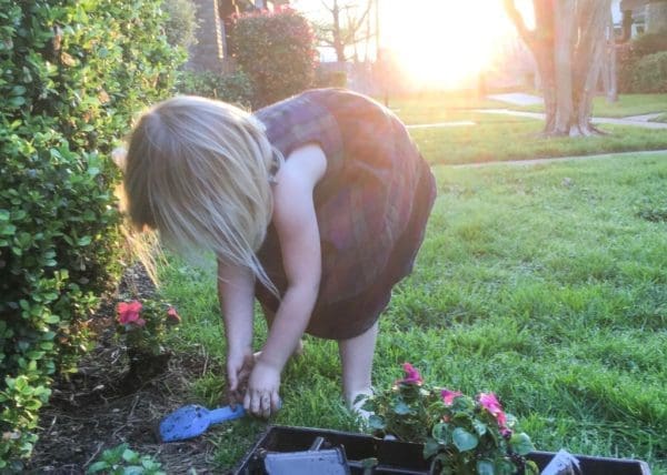 Gardening Lessons Teach Us More Than Gardening | Twin Cities Familys Blog