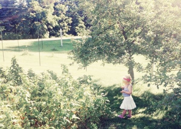 Gardening Lessons Teach Us More Than Gardening | Twin Cities Familys Blog