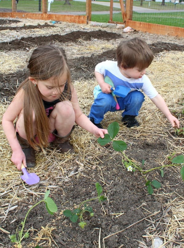 Tips for Gardening with Kids | Twin Cities Familys Blog