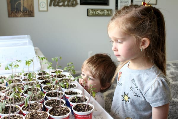 Tips for Gardening with Kids | Twin Cities Familys Blog