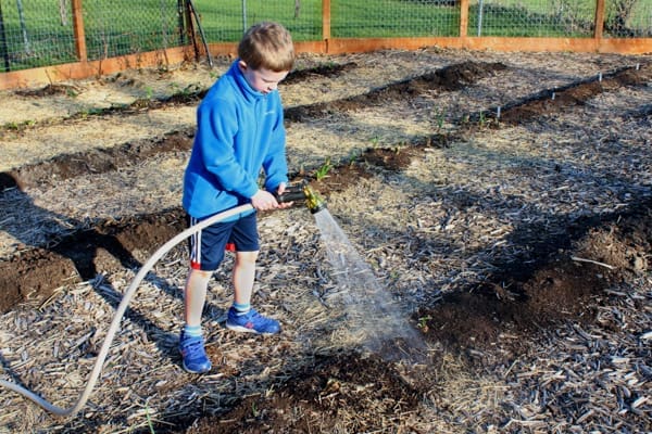 Tips for Gardening with Kids | Twin Cities Familys Blog