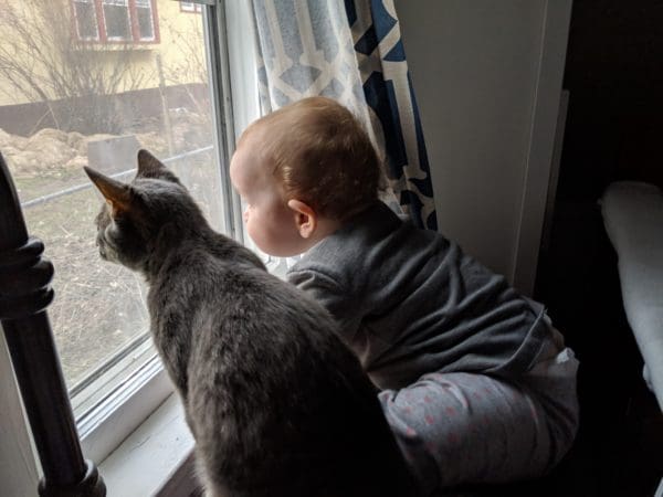 Is An Apartment "Enough"? | Twin Cities Familys Blog