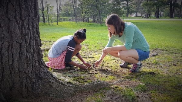 How I Got Swept up Into Fairy Gardens | Twin Cities Familys Blog