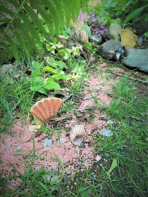 How I Got Swept up Into Fairy Gardens | Twin Cities Familys Blog