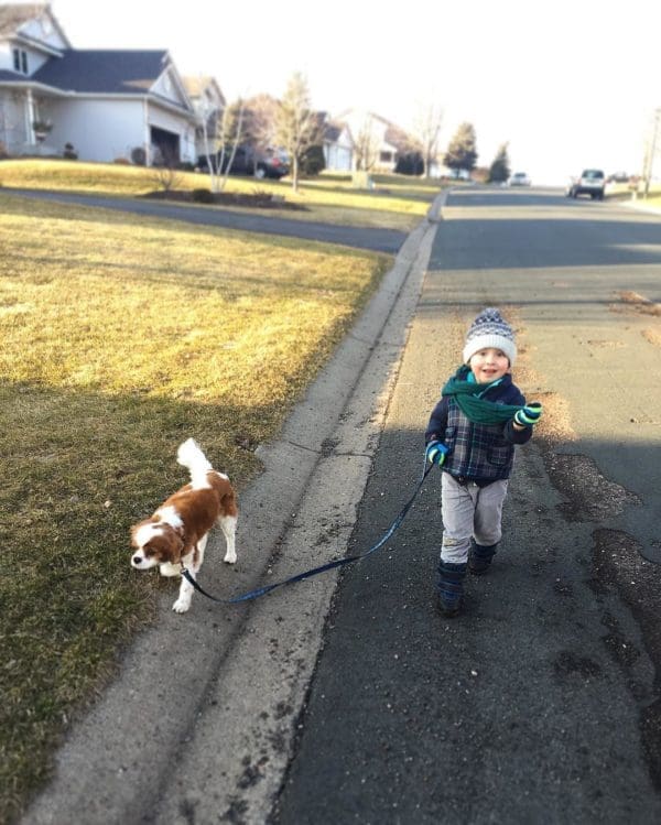I Love Dogs, but I'm Glad I Don't Own One | Twin Cities Familys Blog