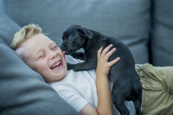 I Love Dogs, but I'm Glad I Don't Own One | Twin Cities Familys Blog