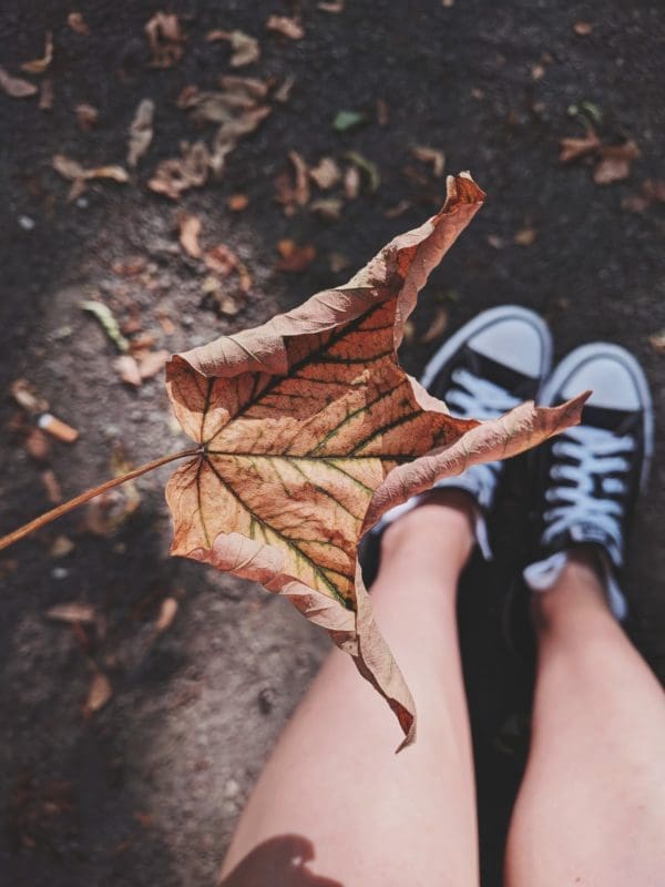 On Fall Leaves, Baby Hairs, and Relief | Twin Cities Familys Blog