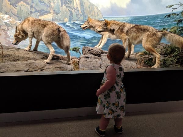 Terribly Terrific Twos | Twin Cities Family